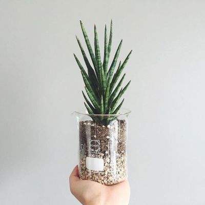 B体育手机版下载